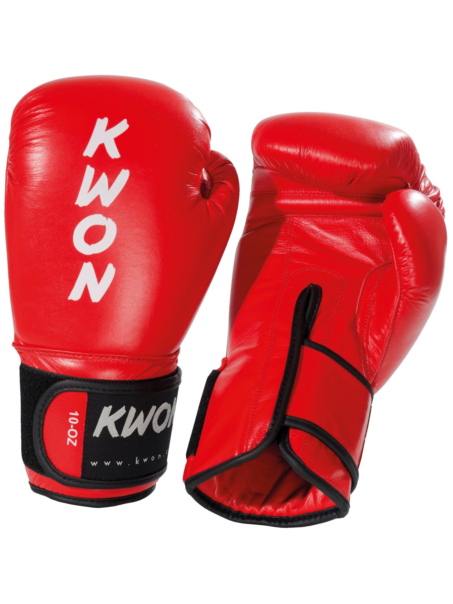 Boxhandschuhe Ergo Champ