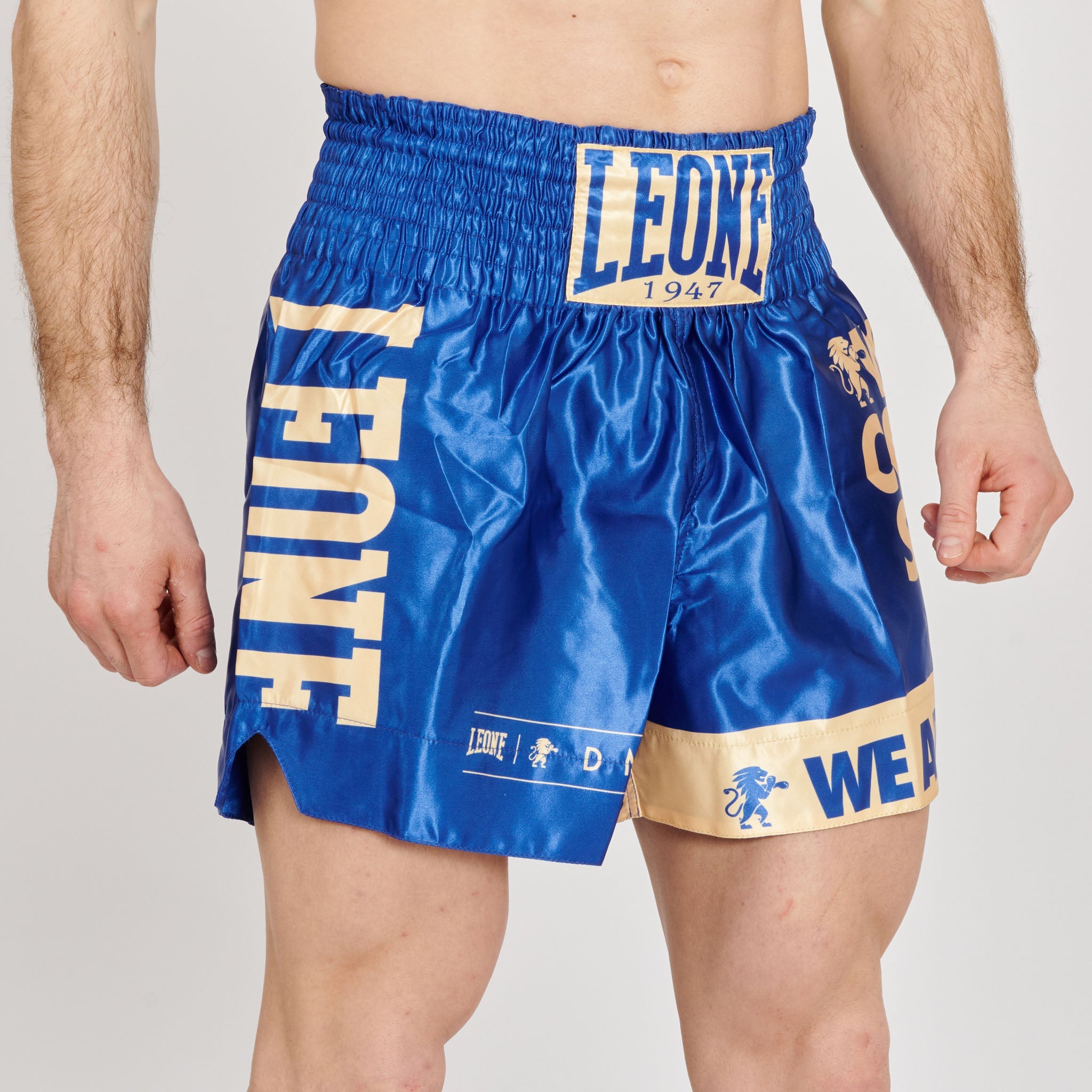 KICK-THAI SHORTS DNA