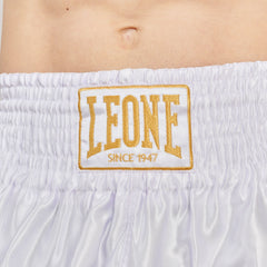 BASIC 2 KICK SHORTS