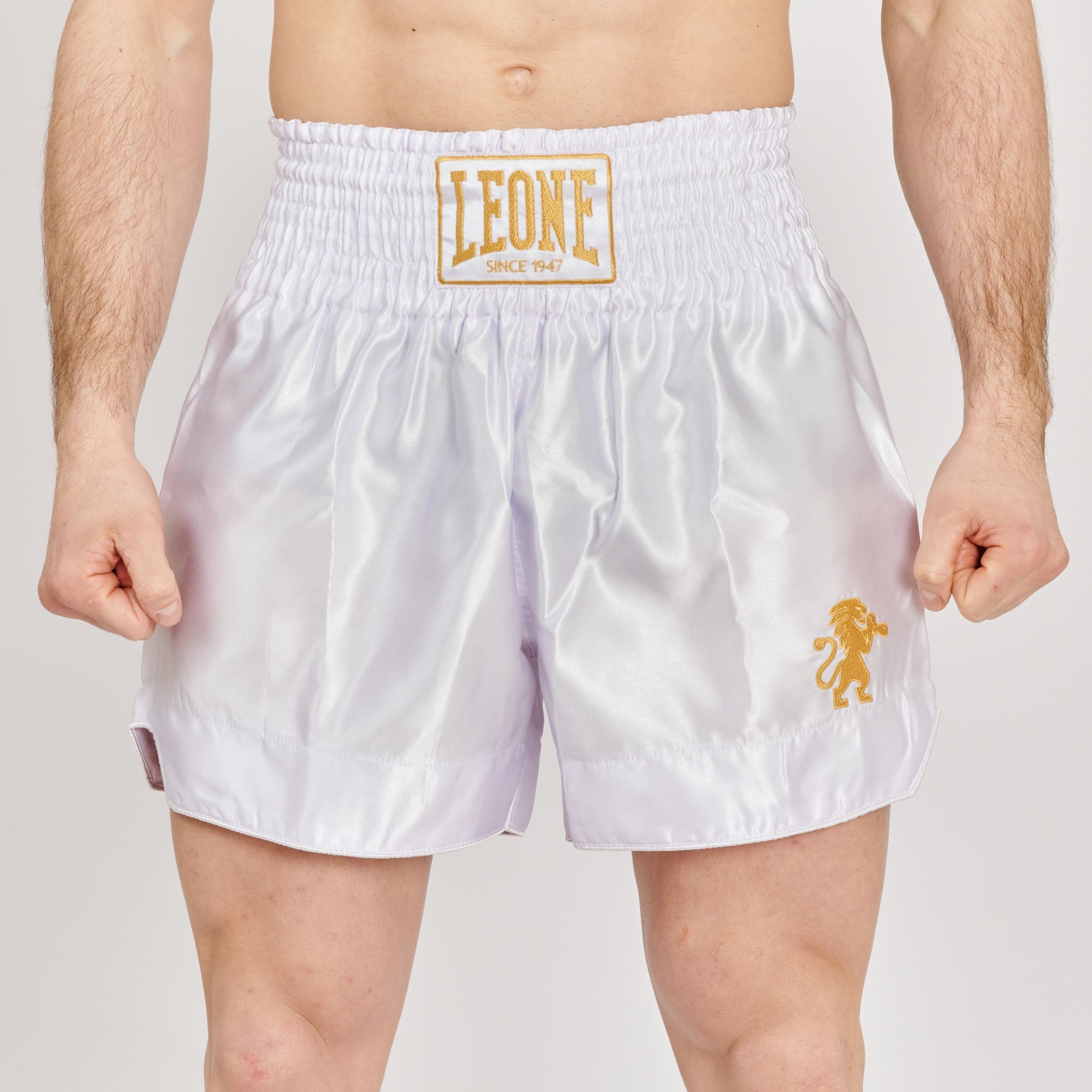 BASIC 2 KICK SHORTS