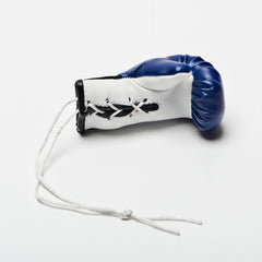 Mini Gloves for car