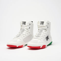 PREMIUM BOXING SHOES