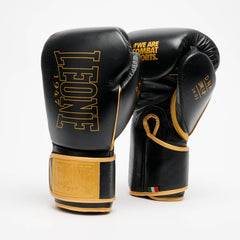 DNA PREMIUM BOXING GLOVES