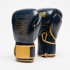 DNA PREMIUM BOXING GLOVES