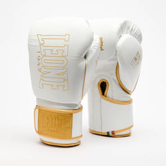 DNA PREMIUM BOXING GLOVES