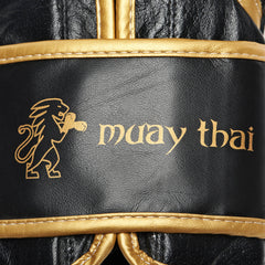 Muay Thai Boxing Gloves