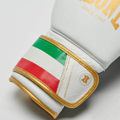 ITALY'47 BOXING GLOVES