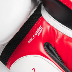 BOXING GLOVES IL TECNICO N3