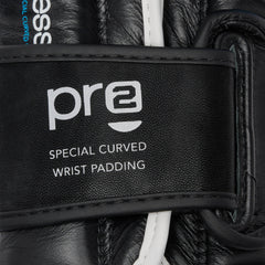 PROFESSIONAL 2 BOXING GLOVES