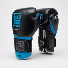 PROFESSIONAL 2 BOXING GLOVES