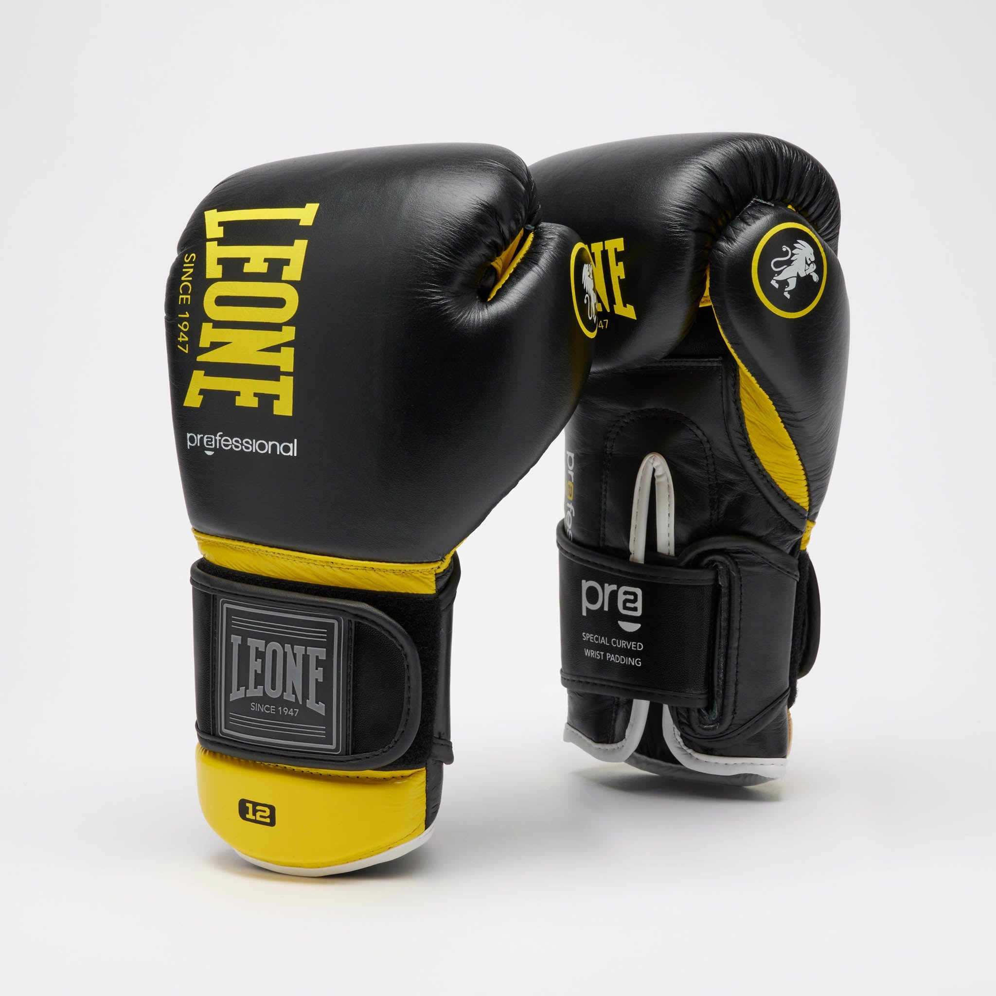 PROFESSIONAL 2 BOXING GLOVES