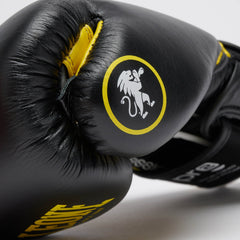 PROFESSIONAL 2 BOXING GLOVES