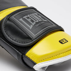 PROFESSIONAL 2 BOXING GLOVES
