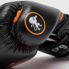 PROFESSIONAL 2 BOXING GLOVES