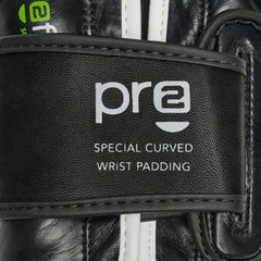 PROFESSIONAL 2 BOXING GLOVES