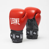AMBASSADOR BOXING GLOVES