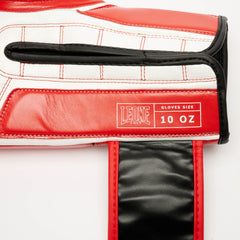 ICONIC BOXING GLOVES