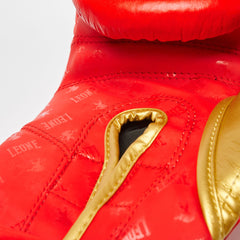 BOXING GLOVES DNA