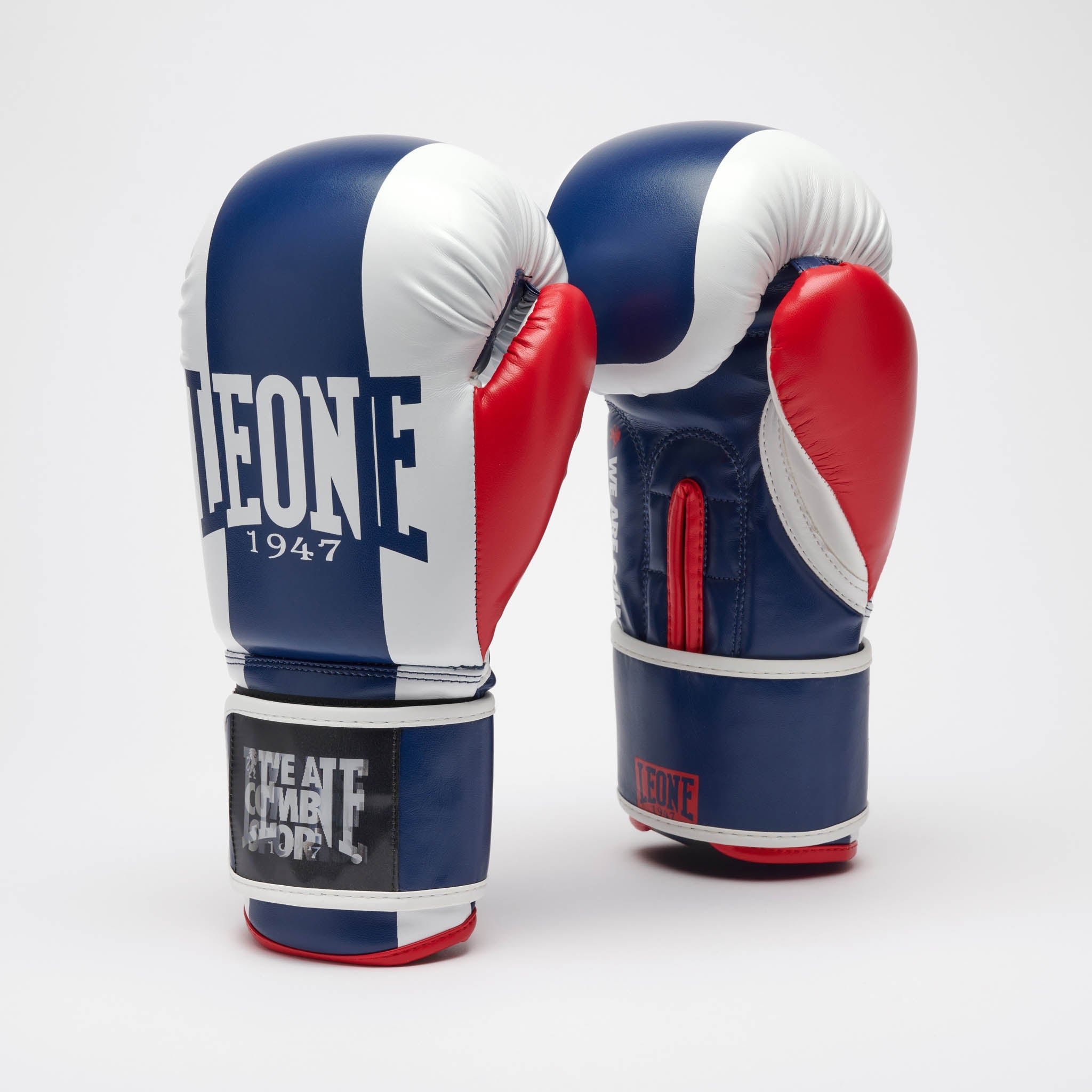 COLOR BLOCK BOXING GLOVES