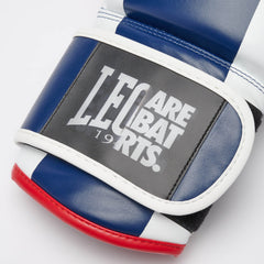 COLOR BLOCK BOXING GLOVES