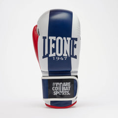 COLOR BLOCK BOXING GLOVES