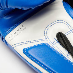 ICONIC BOXING GLOVES