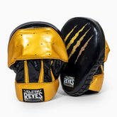 Boxpratzen Cleto Reyes Tiger