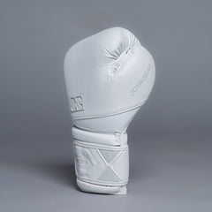 Joyagear Performance V2 Boxing Gloves White/Carbon