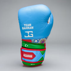 Joyagear X Bahram Rajabzadeh Performance Boxing Gloves