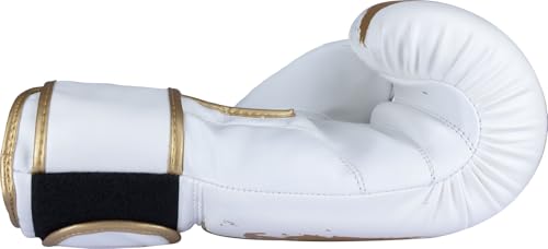 TOP TEN Boxhandschuhe Power Ink Golden Star – Kickbox- & Boxhandschuhe mit Arch-Daumenschutz – Hochwertiger Formschaum für Sparring & Training – Kunstleder, Weiss – Gold, Gold - Schwarz (10oz - 16oz)