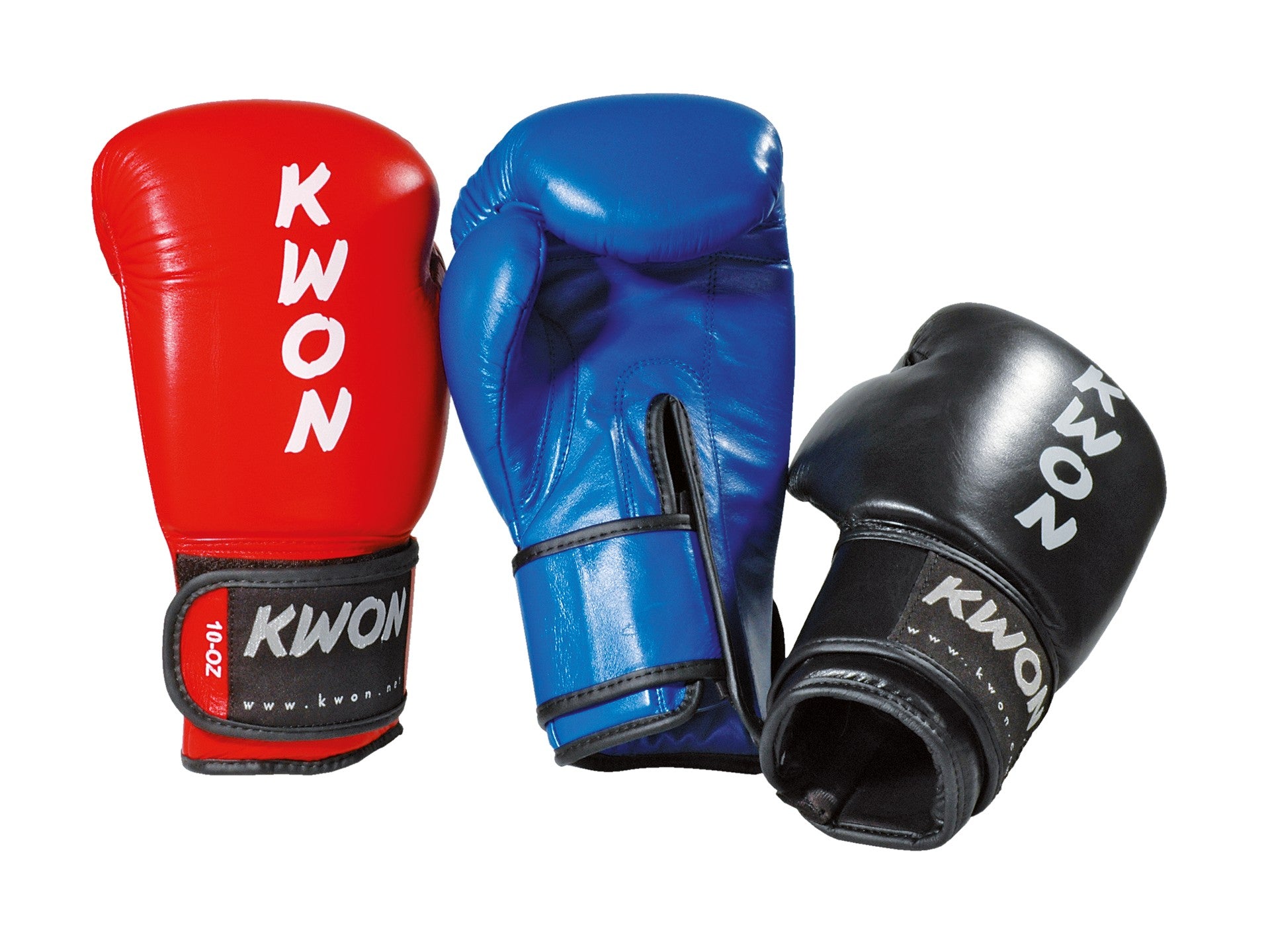 Boxing glove Ergo Champ 10 oz