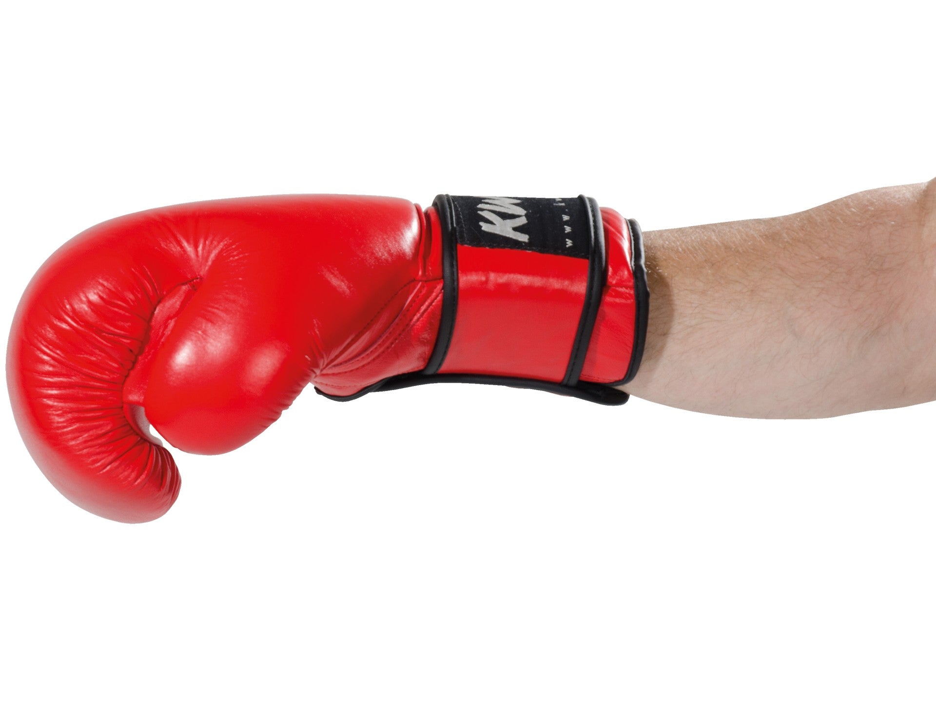 Boxhandschuhe Ergo Champ