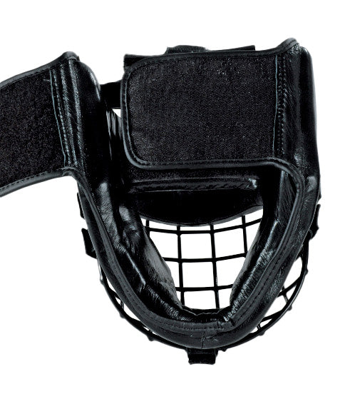 Head protector with iron grid