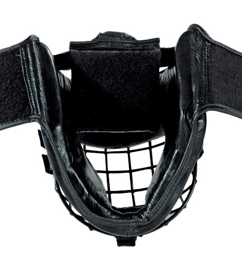 Head protector with iron grid