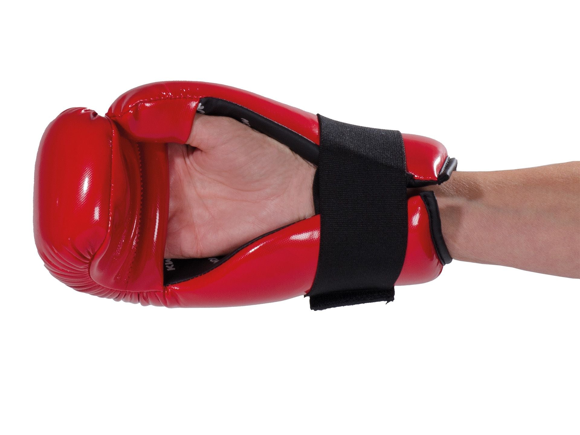 Handschutz Phantom