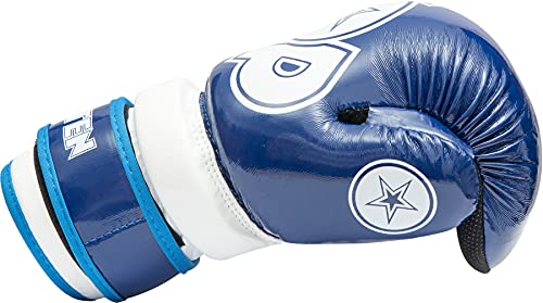 TOP TEN Pointfighter Glossy Block | Kickbox-Handschuhe | WAKO Approved | Original TOP TEN