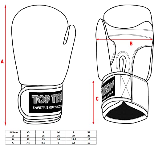 TOP TEN Pointfighter Glossy „Star & Stripes“
