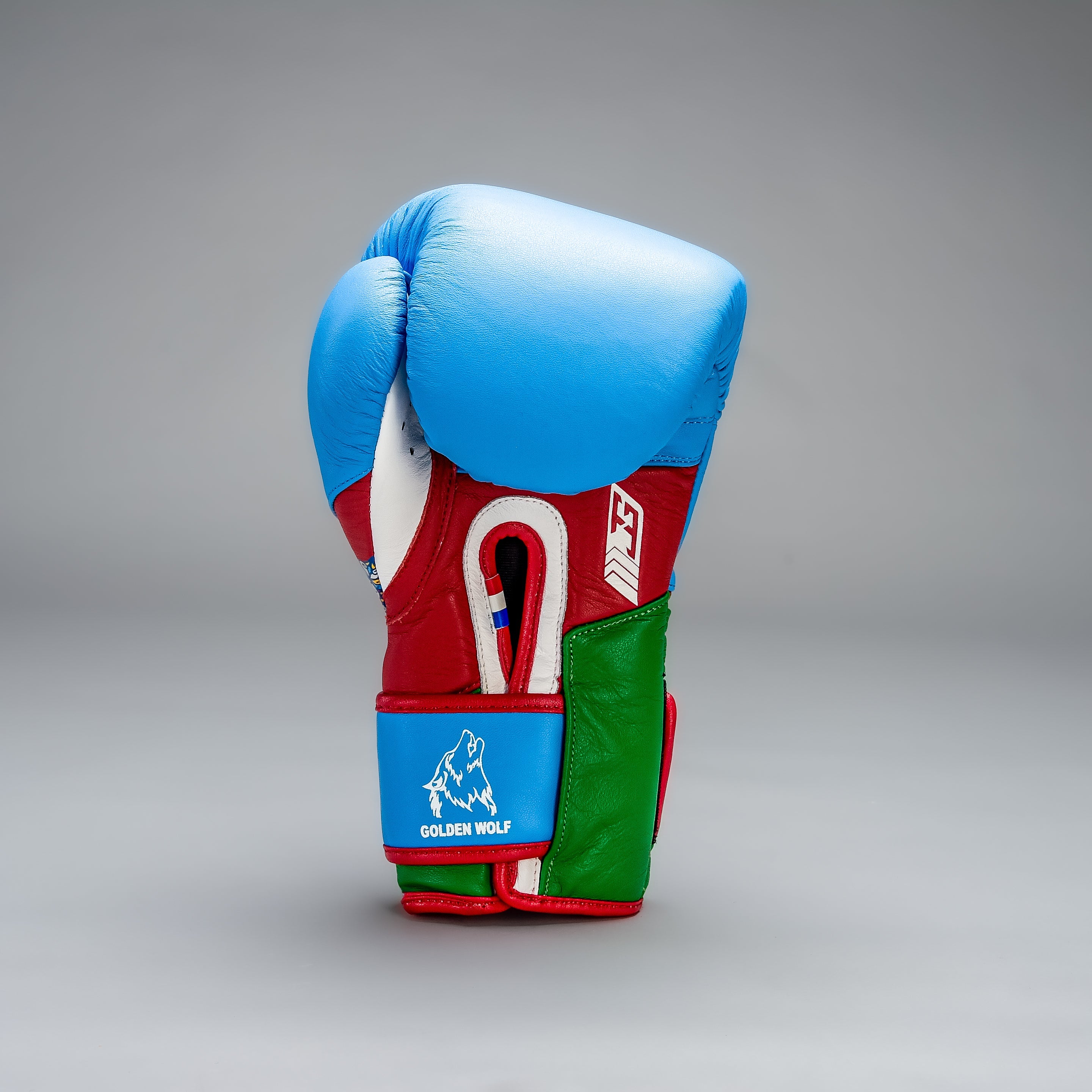 Joyagear X Bahram Rajabzadeh Performance Boxing Gloves