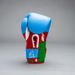Joyagear X Bahram Rajabzadeh Performance Boxing Gloves