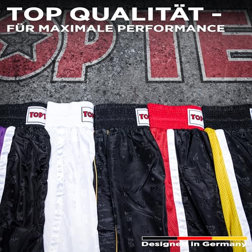 TOP TEN Kickboxhose Mesh | Pointfighting | Leicht- und Vollkontakt Kickboxen | WAKO