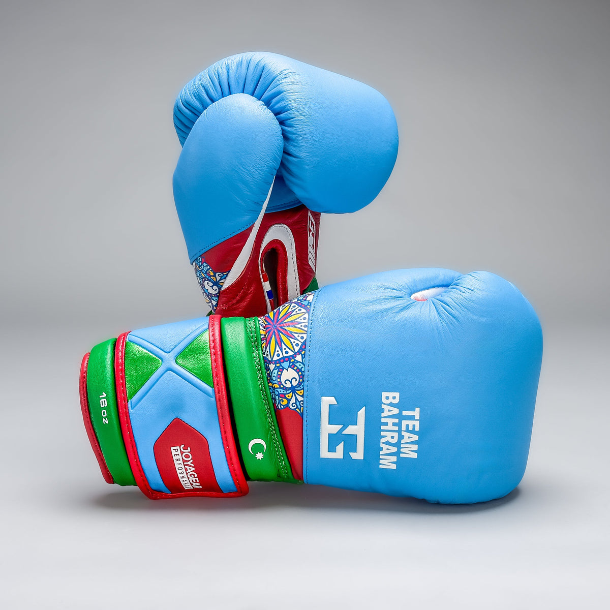 Joyagear X Bahram Rajabzadeh Performance Boxing Gloves