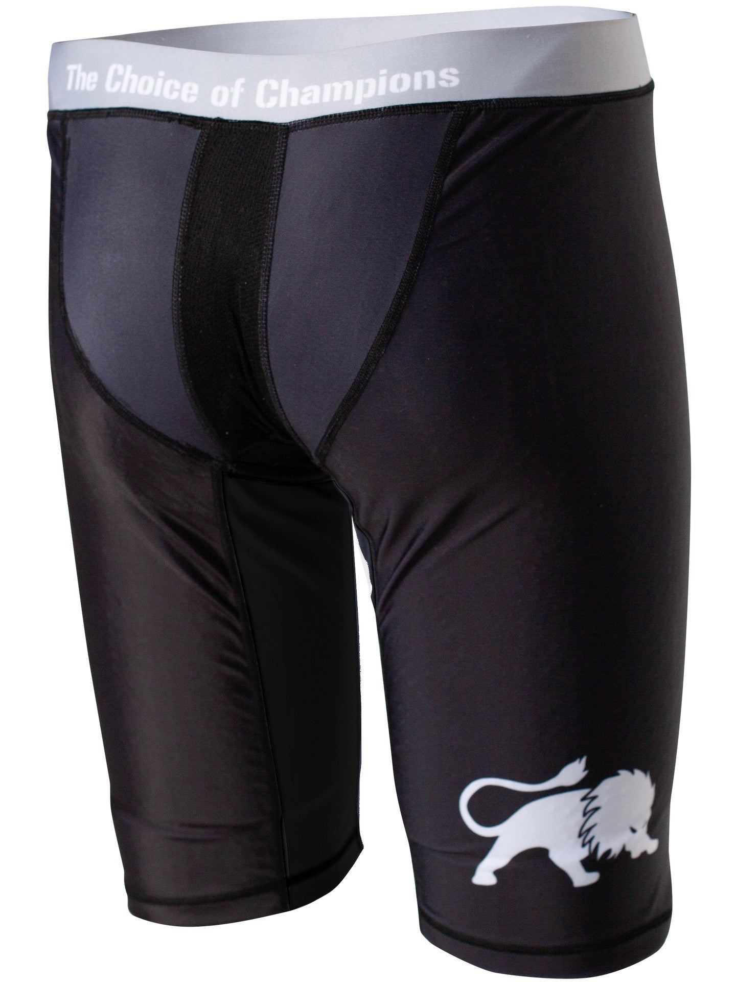 FIGHTNATURE Kompressionsshorts lang