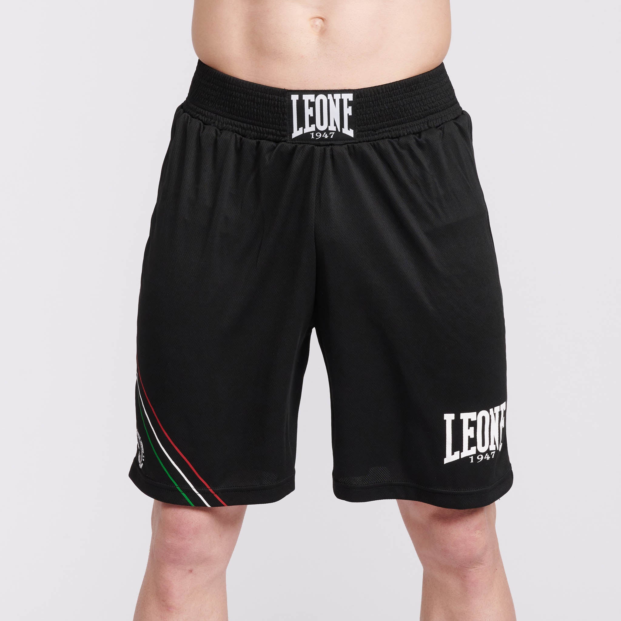 BOXING SHORTS FLAG