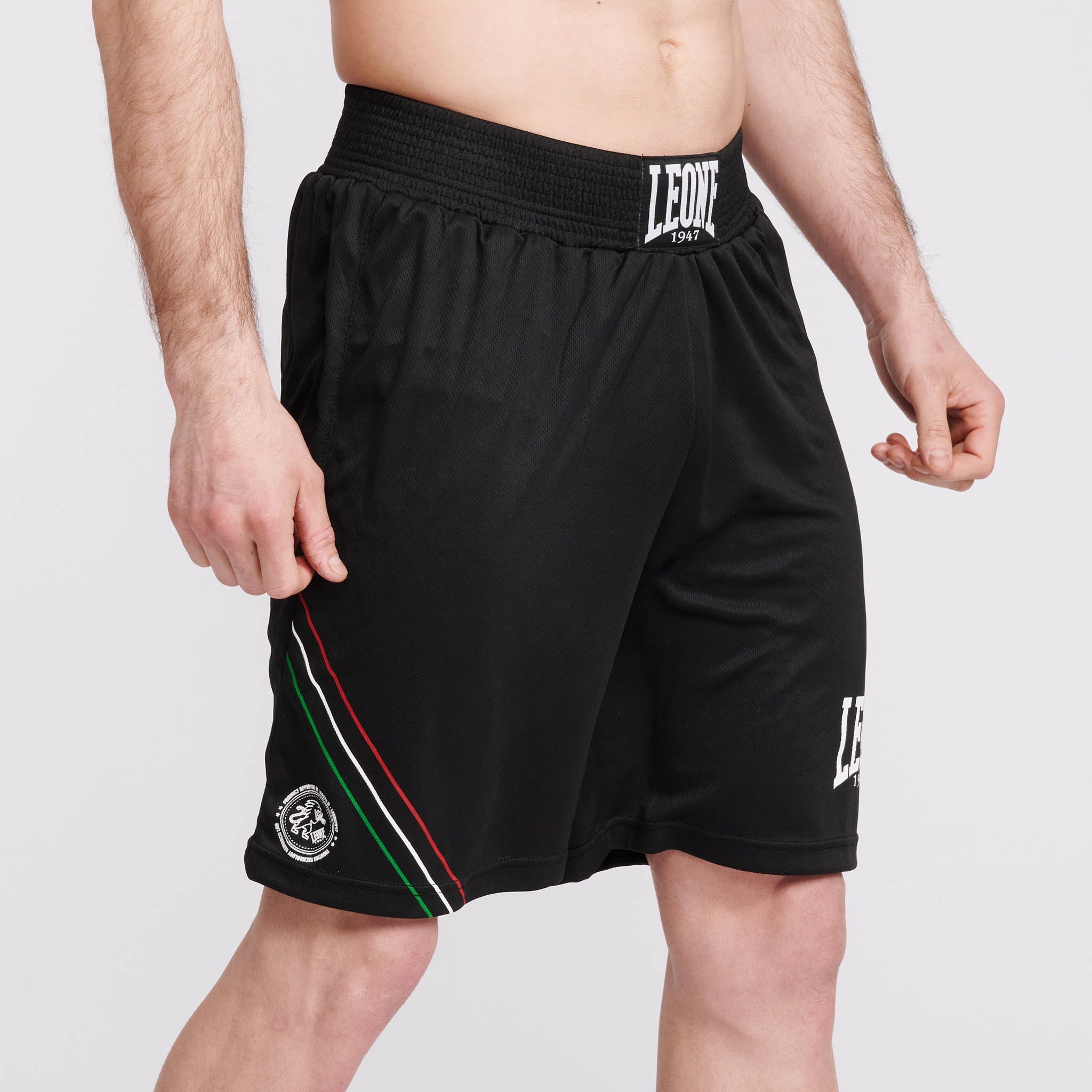 BOXING SHORTS FLAG