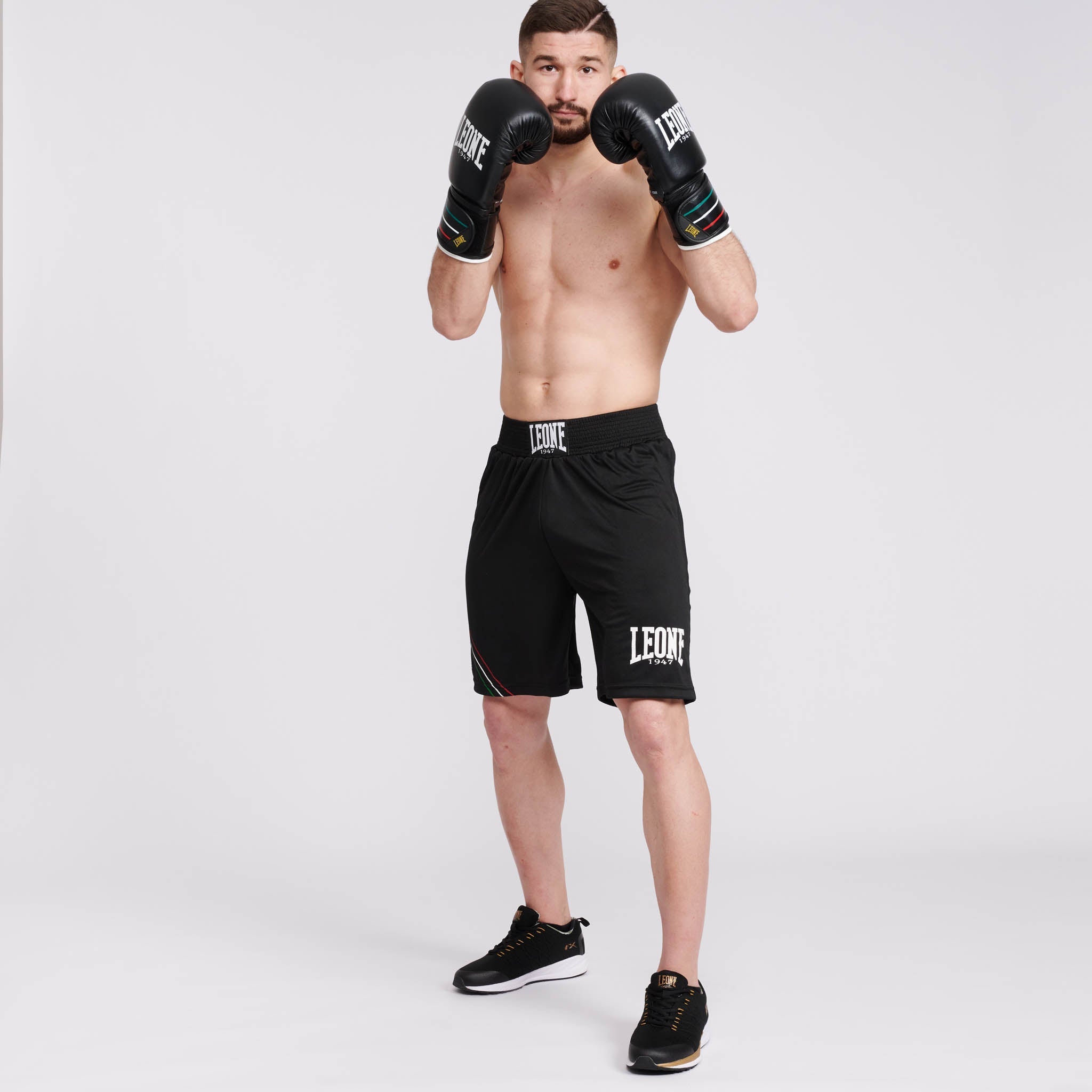 BOXING SHORTS FLAG
