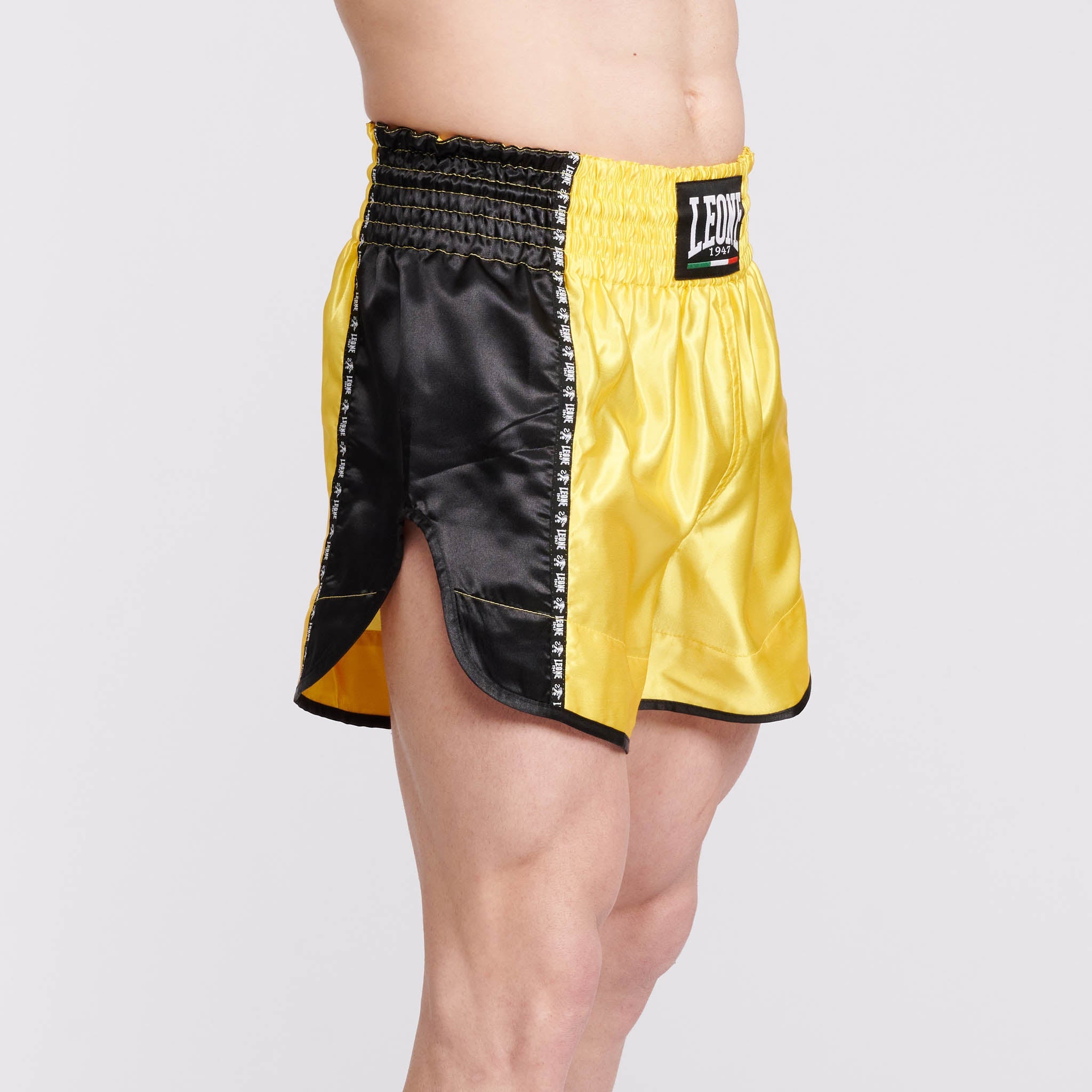 TRAINING THAI SHORTS