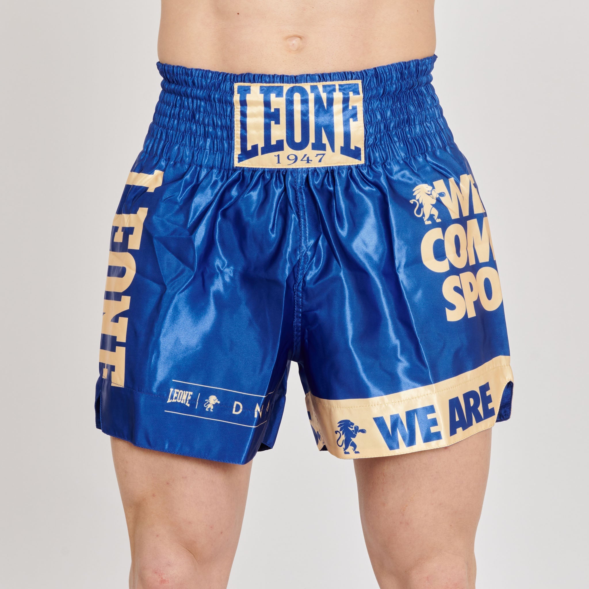 KICK-THAI SHORTS DNA