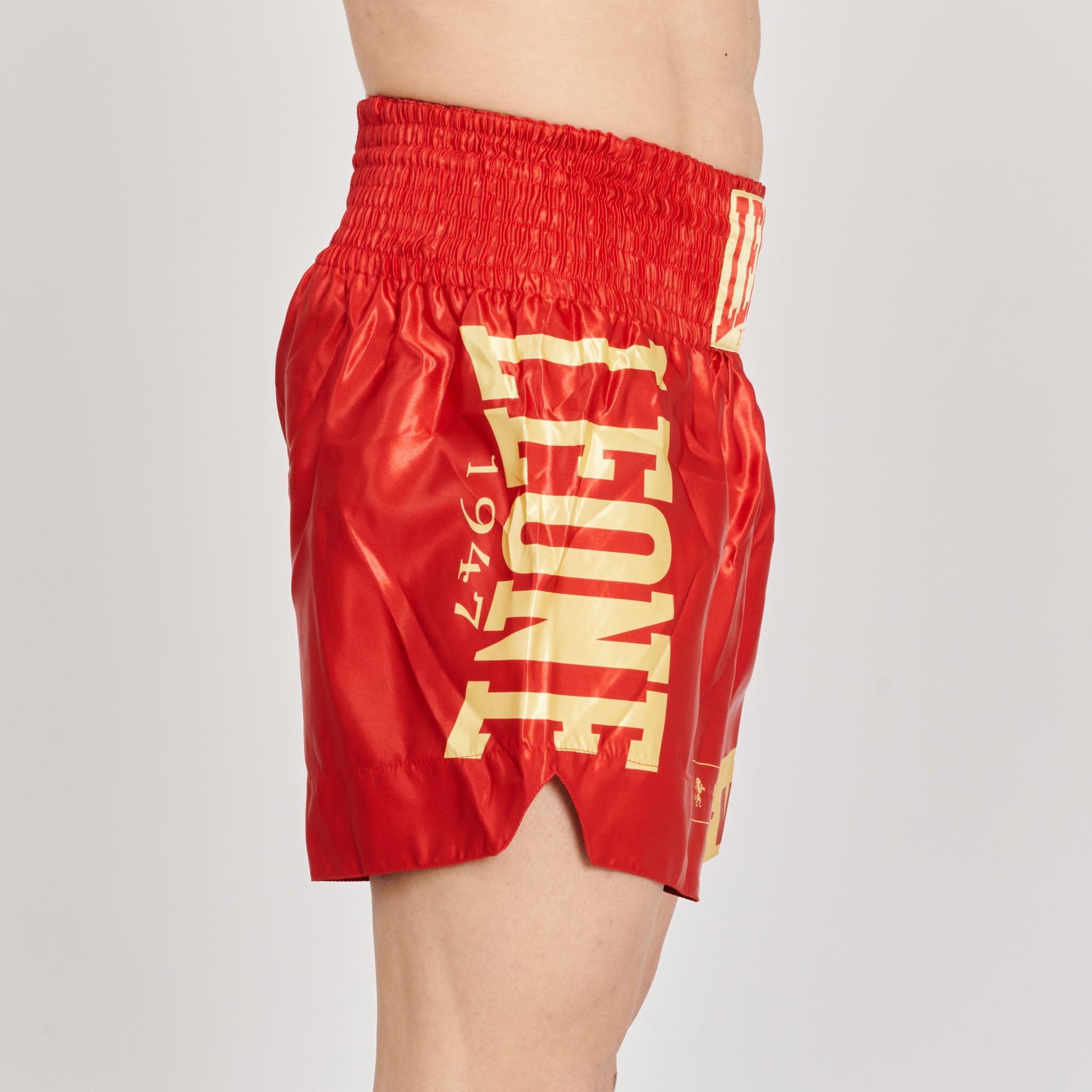 KICK-THAI SHORTS DNA