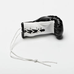Mini Gloves for car