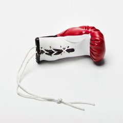 Mini Gloves for car